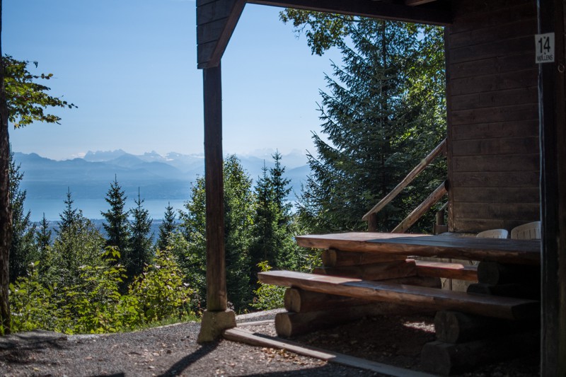 Refuge forestier